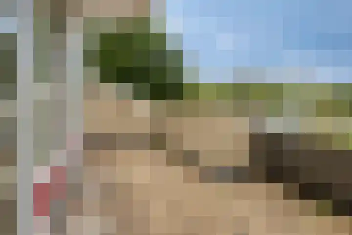 Engelsmanplaat 75 Zwolle thumbnail 10