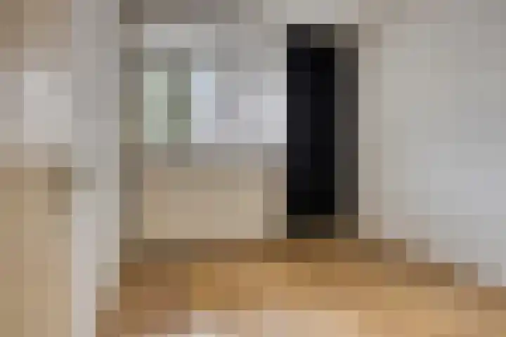 Engelsmanplaat 75 Zwolle thumbnail 14