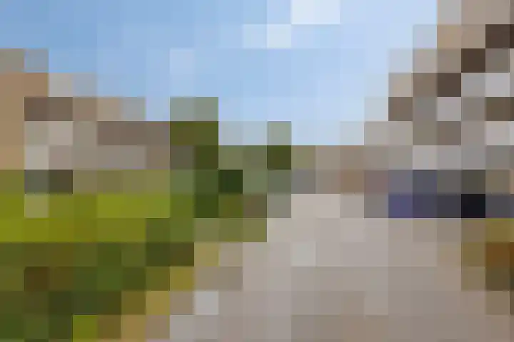 Engelsmanplaat 75 Zwolle thumbnail 25