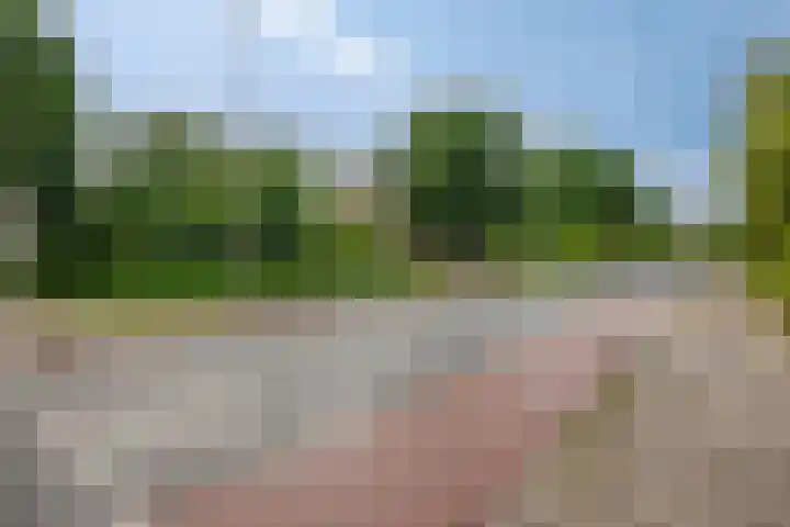 Engelsmanplaat 75 Zwolle thumbnail 27