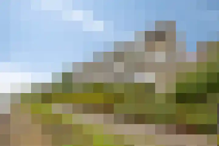Engelsmanplaat 75 Zwolle thumbnail 29