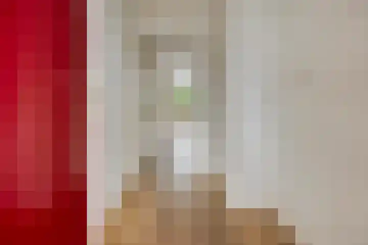 Engelsmanplaat 75 Zwolle thumbnail 5