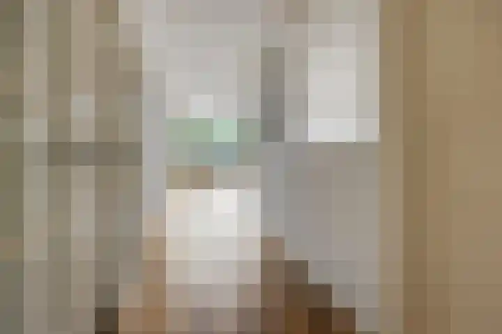 Engelsmanplaat 75 Zwolle thumbnail 6