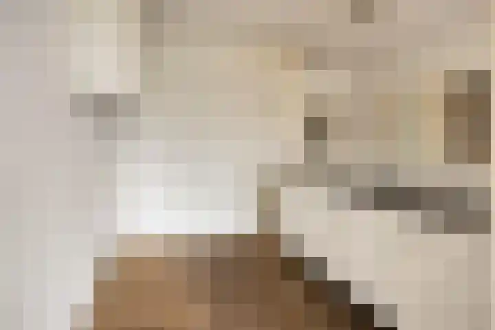 Engelsmanplaat 75 Zwolle thumbnail 8