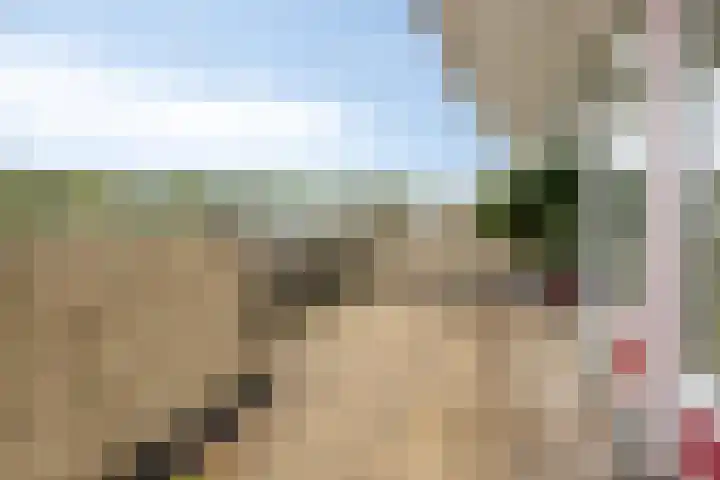 Engelsmanplaat 75 Zwolle thumbnail 9