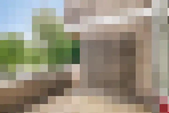 Engelsmanplaat 86 Zwolle thumbnail 11