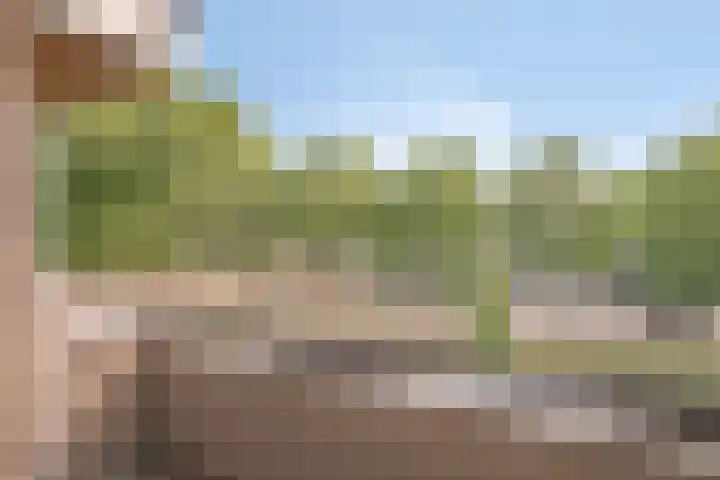 Engelsmanplaat 86 Zwolle thumbnail 12