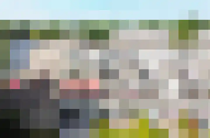 Engelsmanplaat 86 Zwolle thumbnail 27
