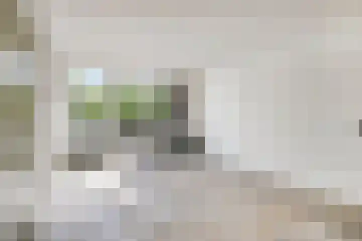 Engelsmanplaat 86 Zwolle thumbnail 4