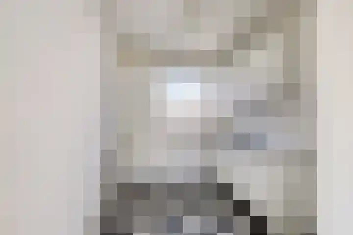 Engelsmanplaat 86 Zwolle thumbnail 6