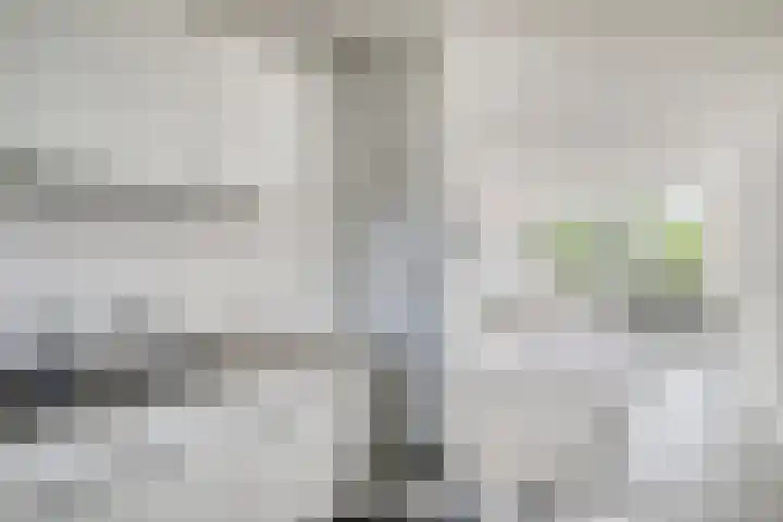 Engelsmanplaat 86 Zwolle thumbnail 7