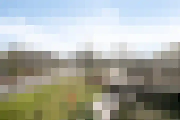 Engelsmanplaat 89 Zwolle thumbnail 11