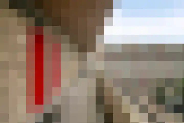 Engelsmanplaat 89 Zwolle thumbnail 26