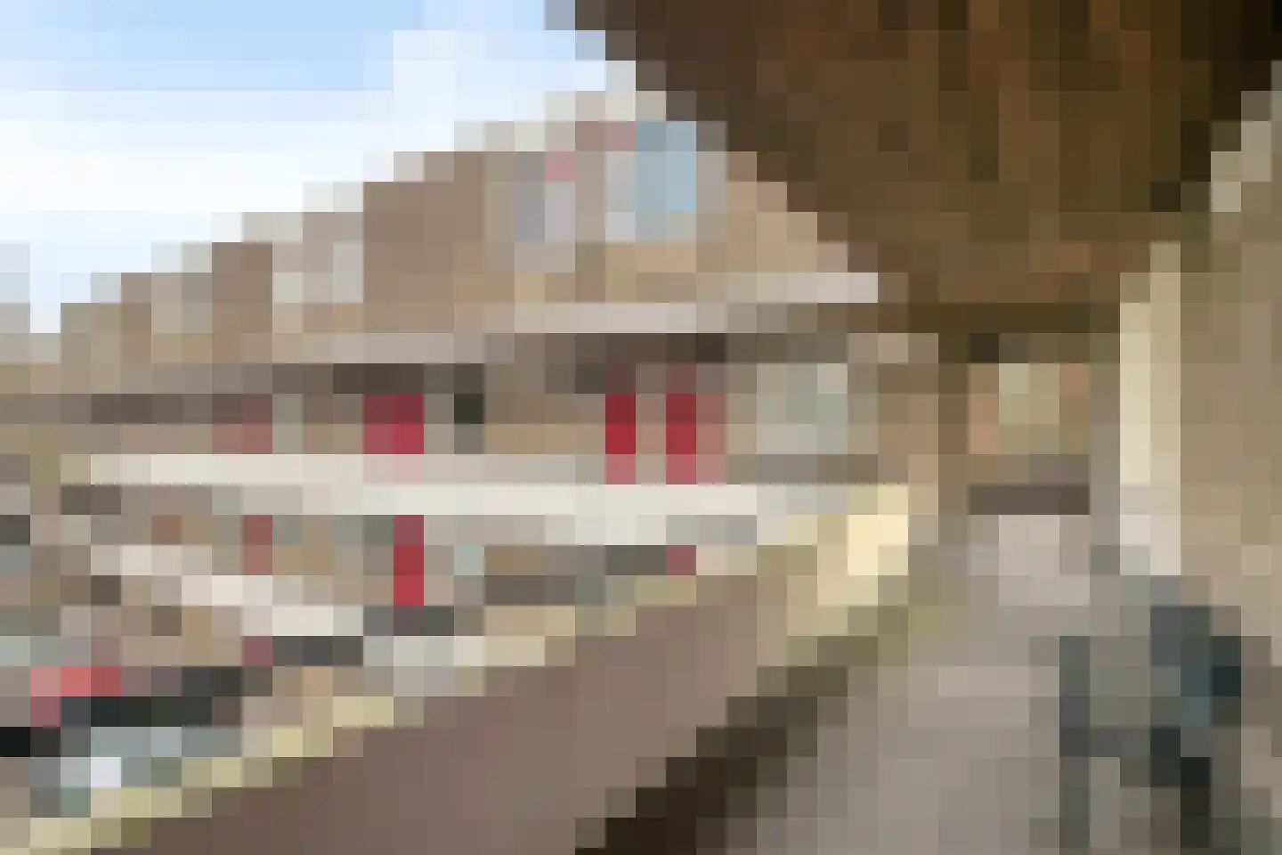 Engelsmanplaat 89 Zwolle thumbnail 28