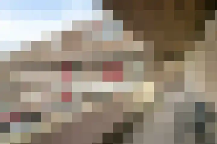 Engelsmanplaat 89 Zwolle thumbnail 28