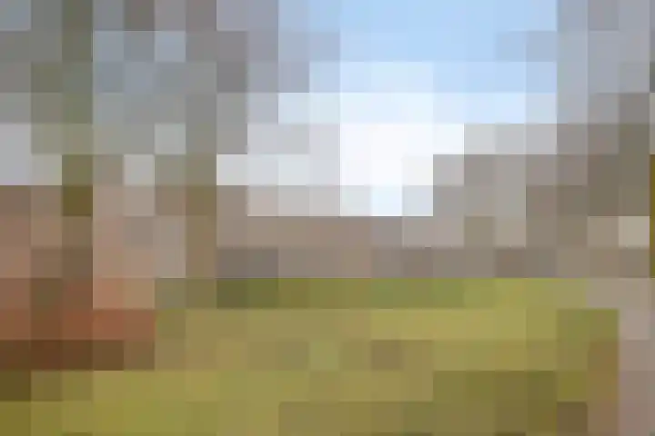 Engelsmanplaat 89 Zwolle thumbnail 33