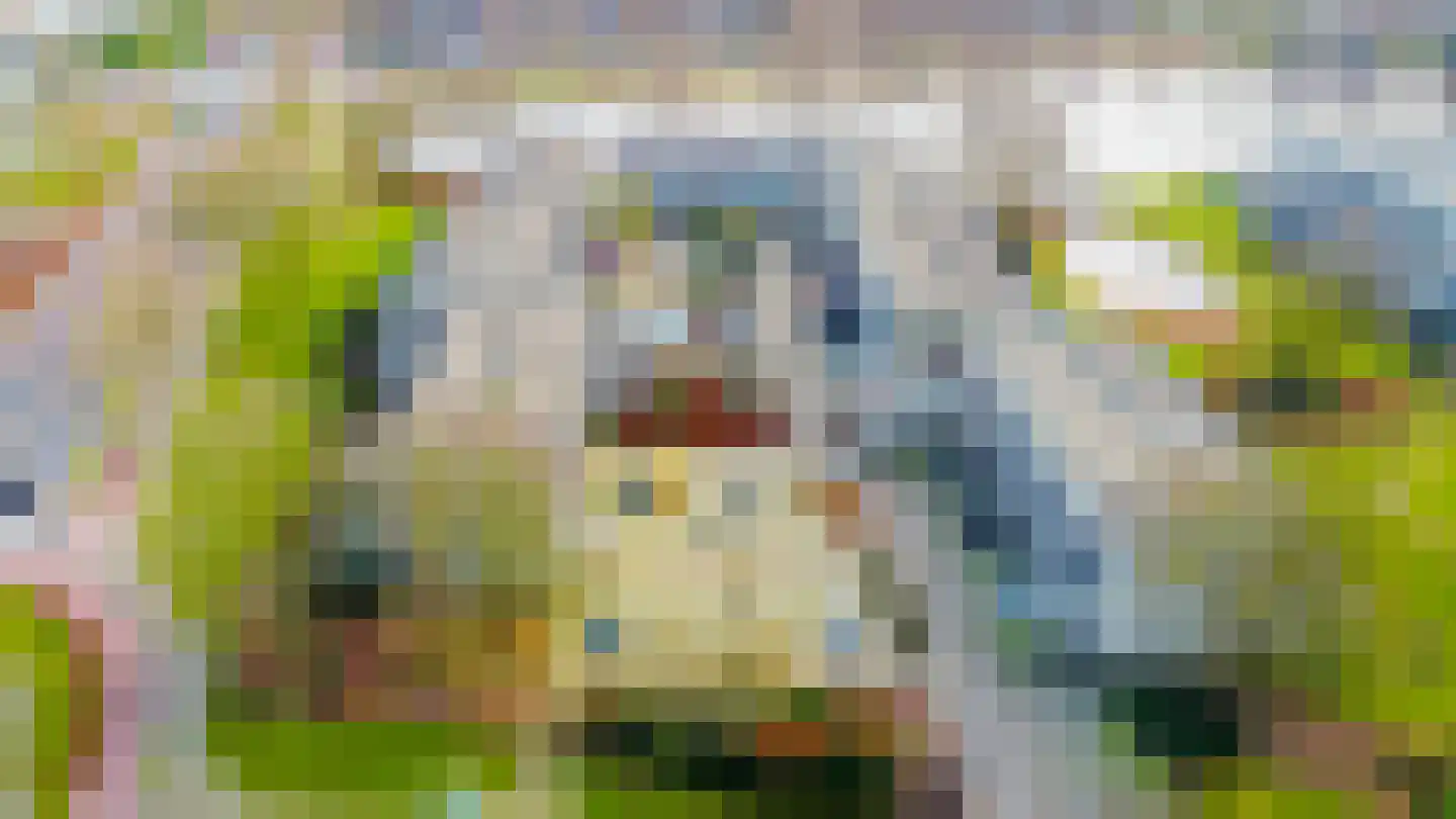 Engelsmanplaat 89 Zwolle thumbnail 35