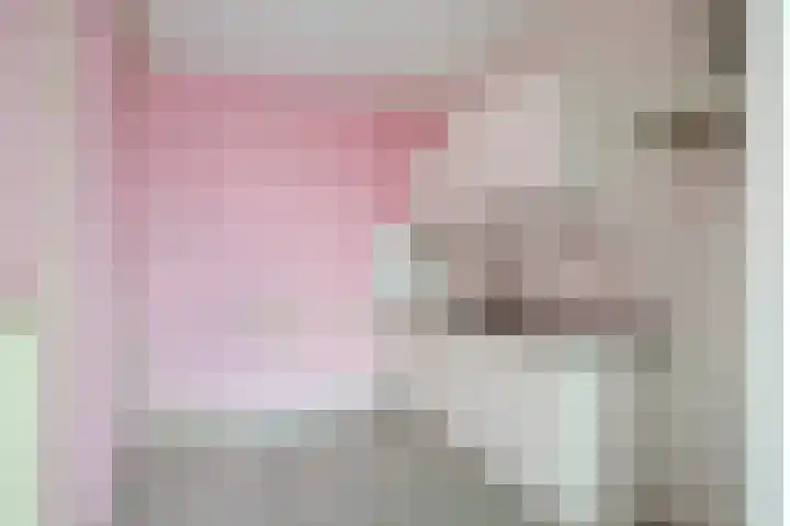Engelsmanplaat 89 Zwolle thumbnail 5