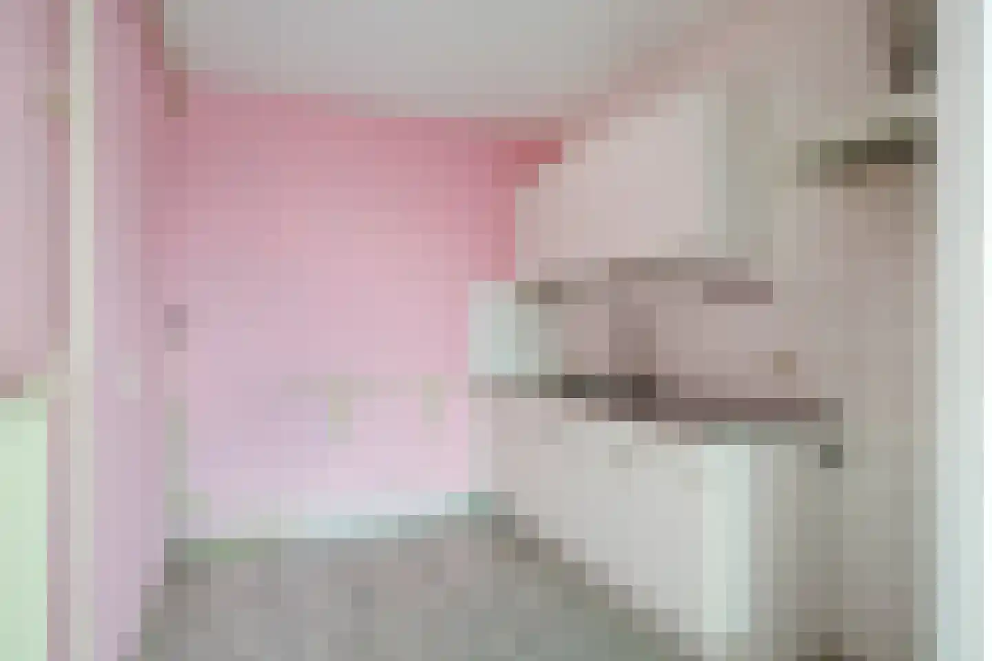 Engelsmanplaat 89 Zwolle thumbnail 5