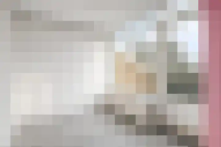 Engelsmanplaat 89 Zwolle thumbnail 8