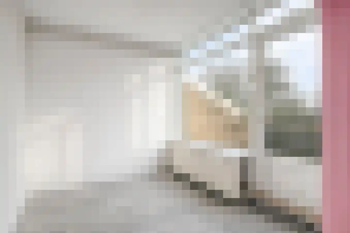Engelsmanplaat 89 Zwolle thumbnail 8