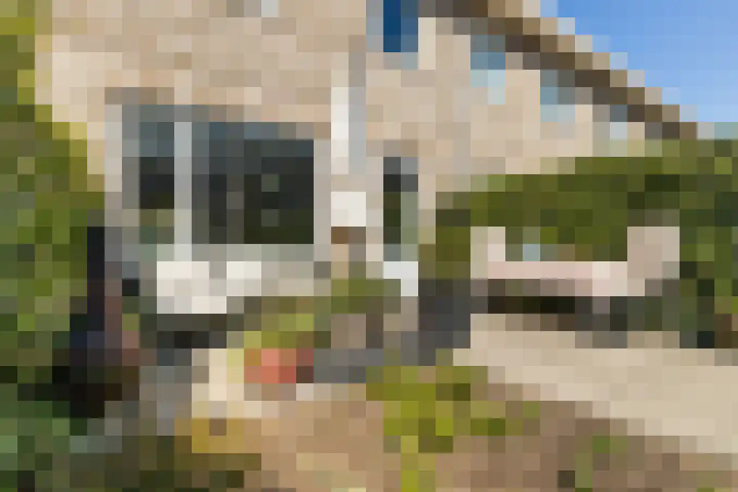 Engelsmanplaat 9 Gouda thumbnail 55