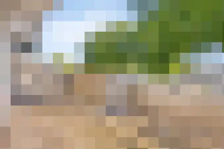 Engelsmanplaat 93 Zwolle thumbnail 12