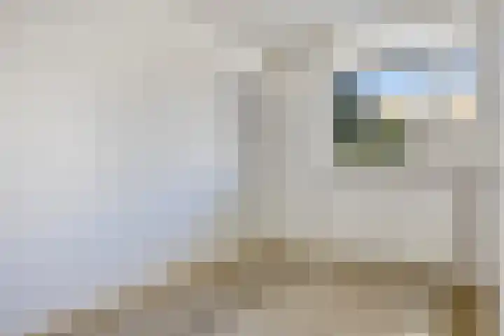 Engelsmanplaat 93 Zwolle thumbnail 16