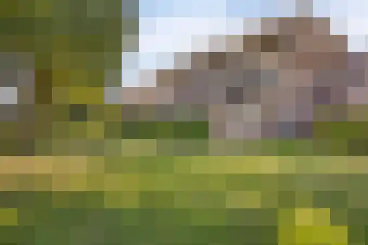 Engelsmanplaat 93 Zwolle thumbnail 25