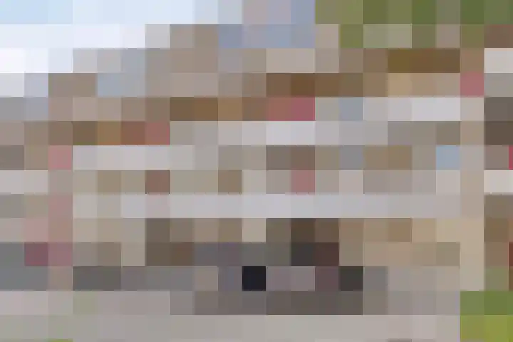 Engelsmanplaat 93 Zwolle thumbnail 28