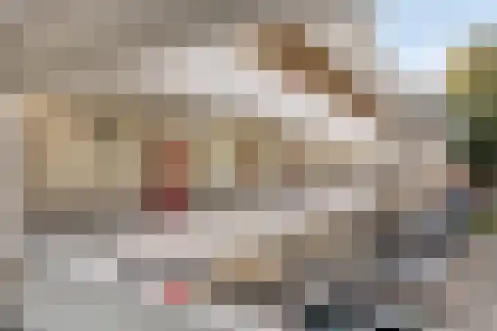Engelsmanplaat 93 Zwolle thumbnail 4