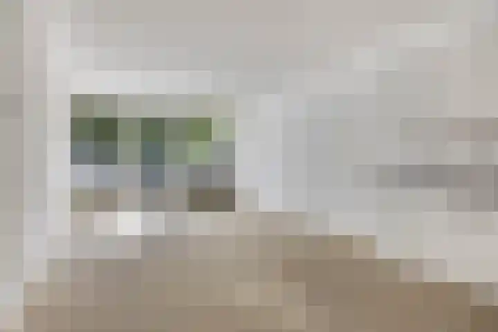 Engelsmanplaat 93 Zwolle thumbnail 6