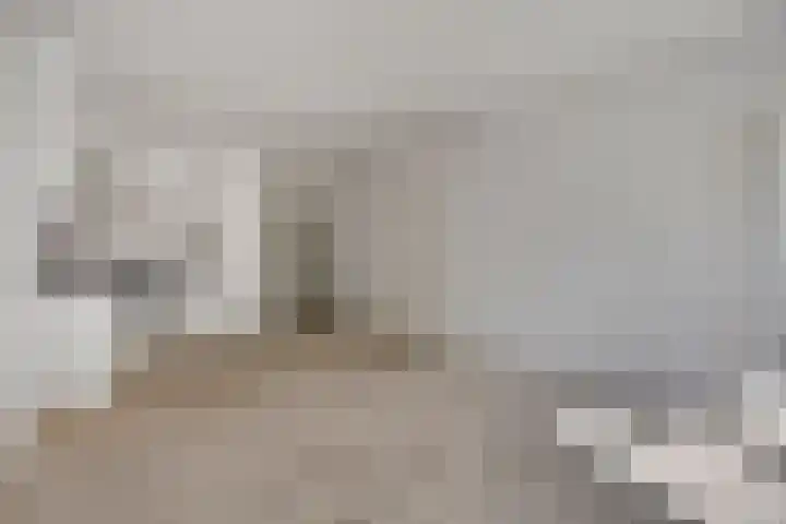 Engelsmanplaat 93 Zwolle thumbnail 7