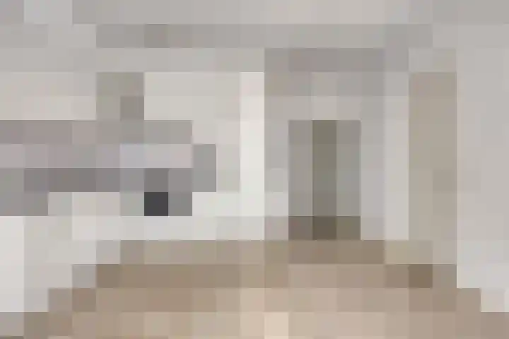Engelsmanplaat 93 Zwolle thumbnail 8