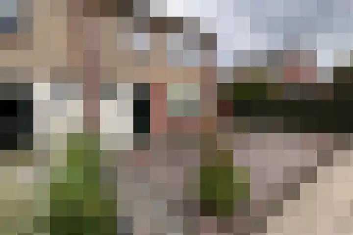 Engelsstraat 103 Vriezenveen thumbnail 5