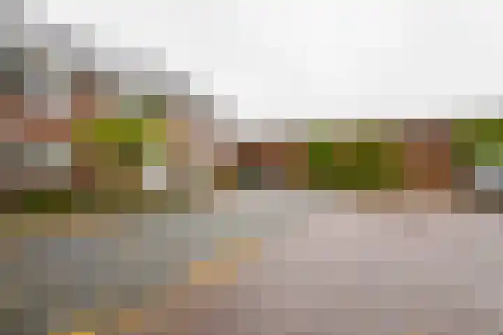Engelsstraat 61 Vriezenveen thumbnail 32