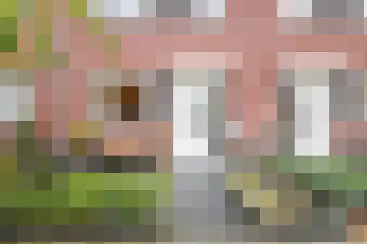 Engelsstraat 61 Vriezenveen thumbnail 36