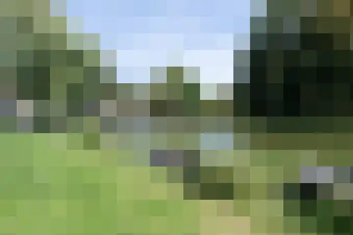 Engelszstraat 34 Haarlem thumbnail 40