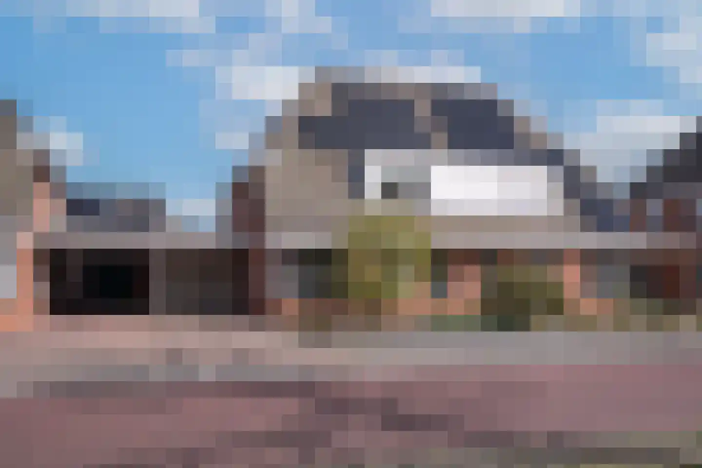 Engelwortel 11 Nijverdal