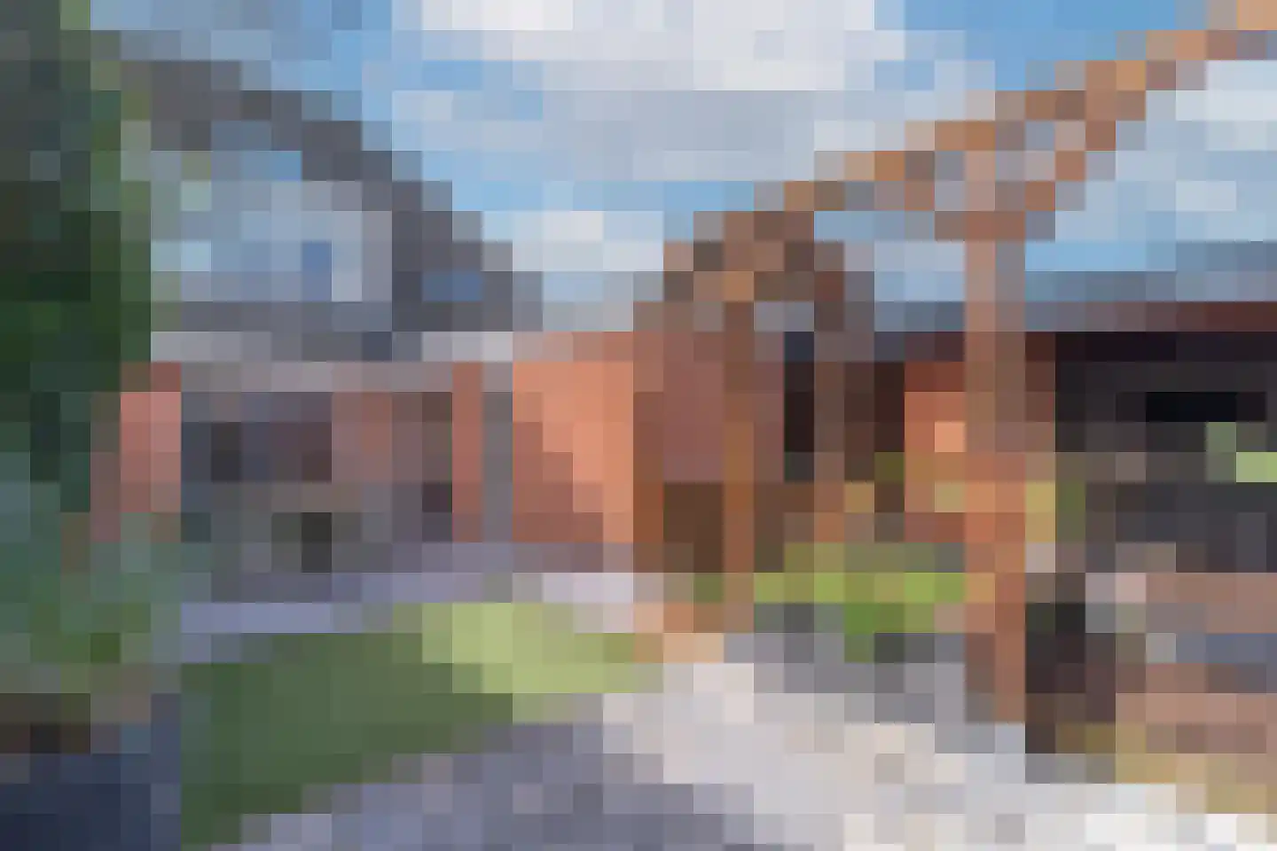 Engelwortel 11 Nijverdal thumbnail 37