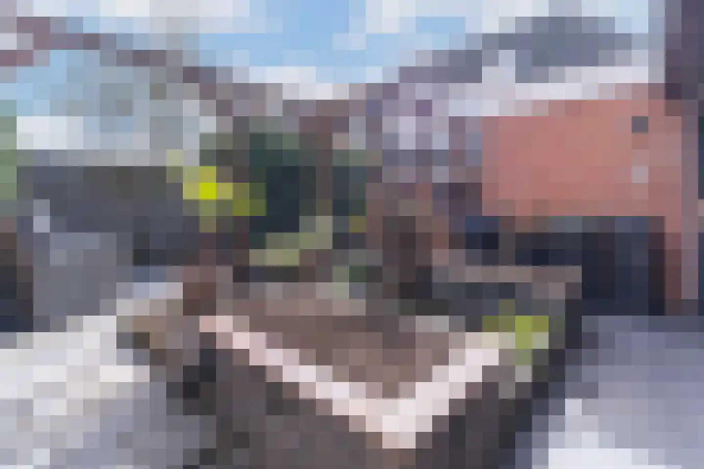 Engelwortel 11 Nijverdal thumbnail 42