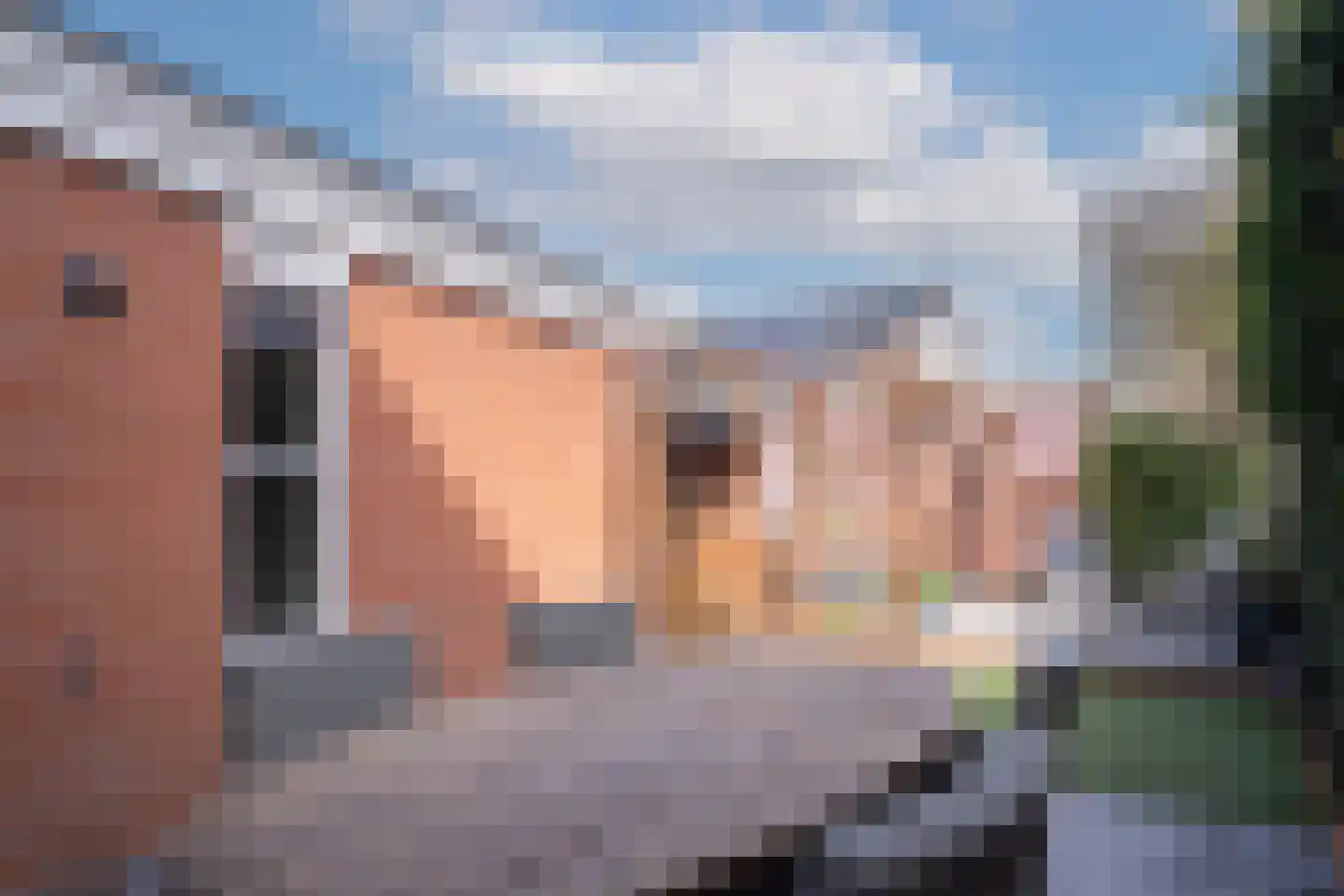 Engelwortel 11 Nijverdal thumbnail 43