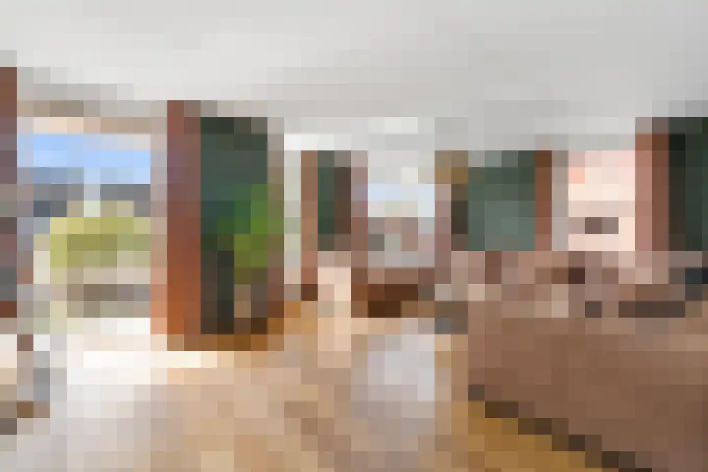 Engelwortel 11 Nijverdal thumbnail 5