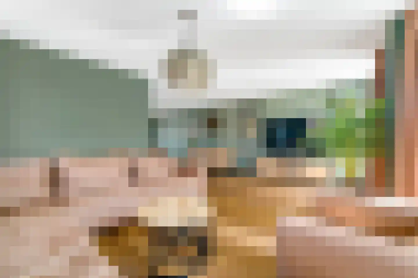 Engelwortel 11 Nijverdal thumbnail 7