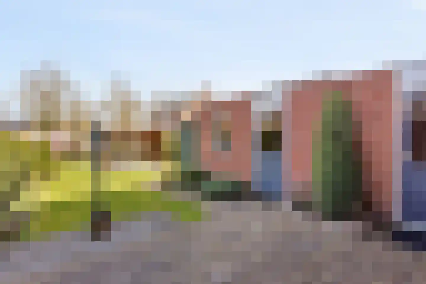 Engelwortel 15 Oldenzaal thumbnail 18