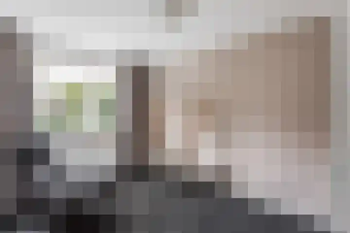 Engelwortel 2 Oldenzaal thumbnail 14