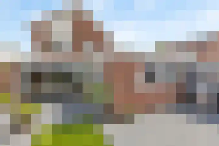 Engelwortel 2 Oldenzaal thumbnail 18