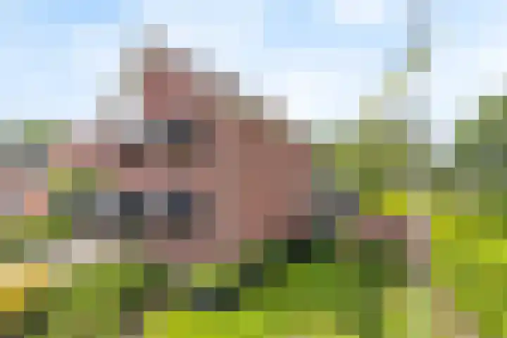 Engelwortel 2 Oldenzaal thumbnail 6