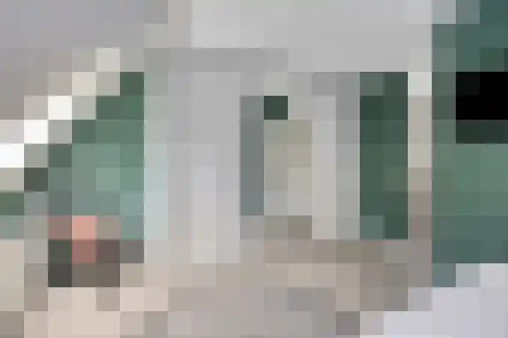 Engelwortel 33 Oldenzaal thumbnail 15