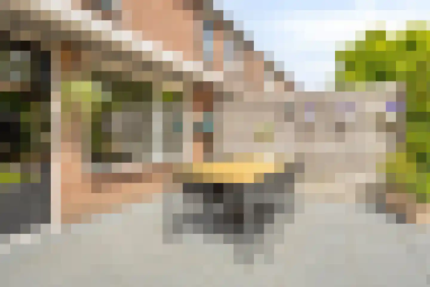 Engelwortel 44 Oldenzaal thumbnail 23